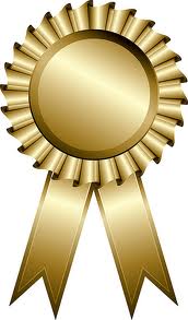 Awards Aaron Has Received